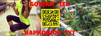 гидропоника Сланцы