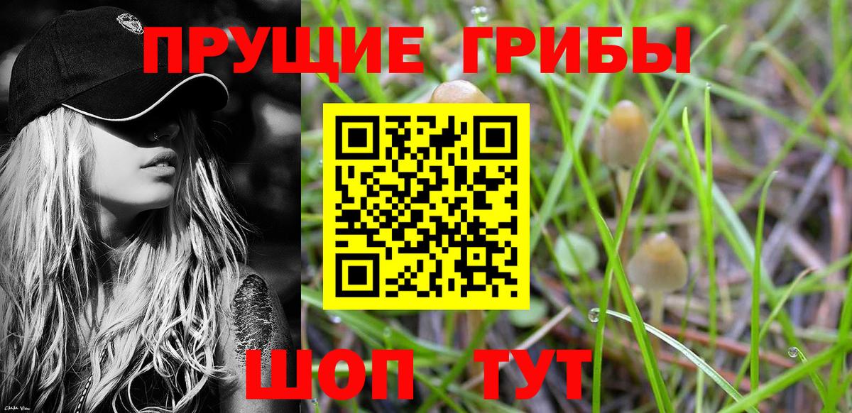 Псилоцибиновые грибы Psilocybine cubensis  купить наркотик  Новодвинск  Вход с VPN 